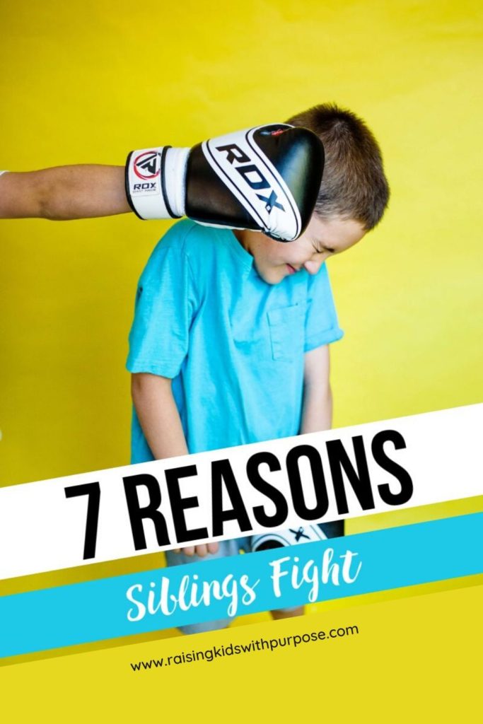 reasons siblings fight