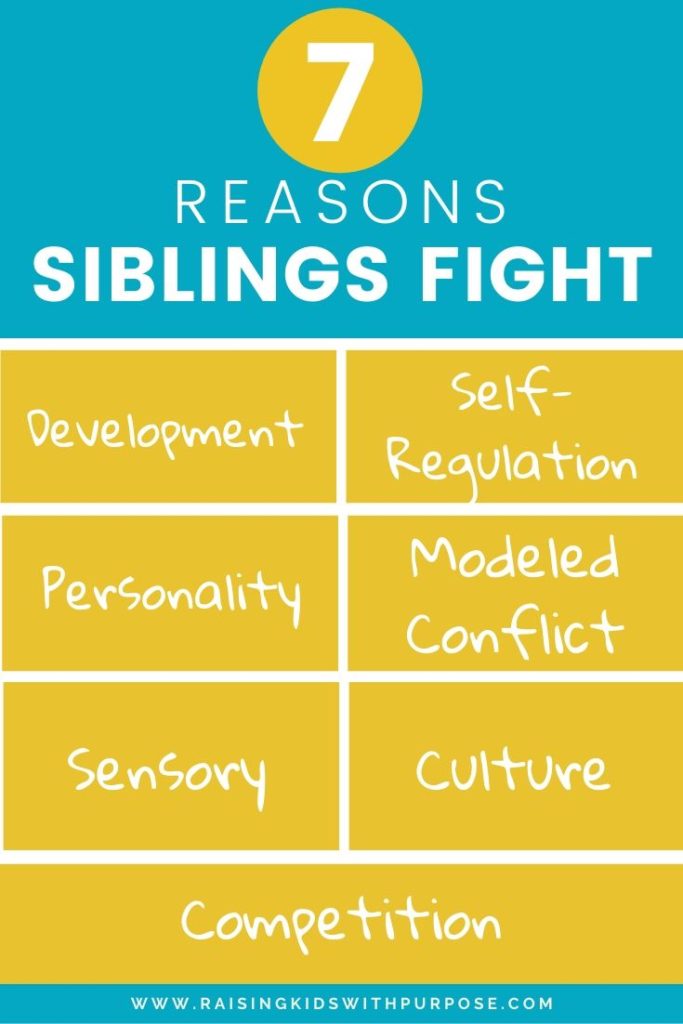 reasons siblings fight infographic