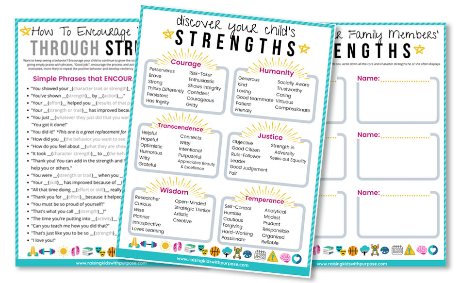 sterngths toolkit