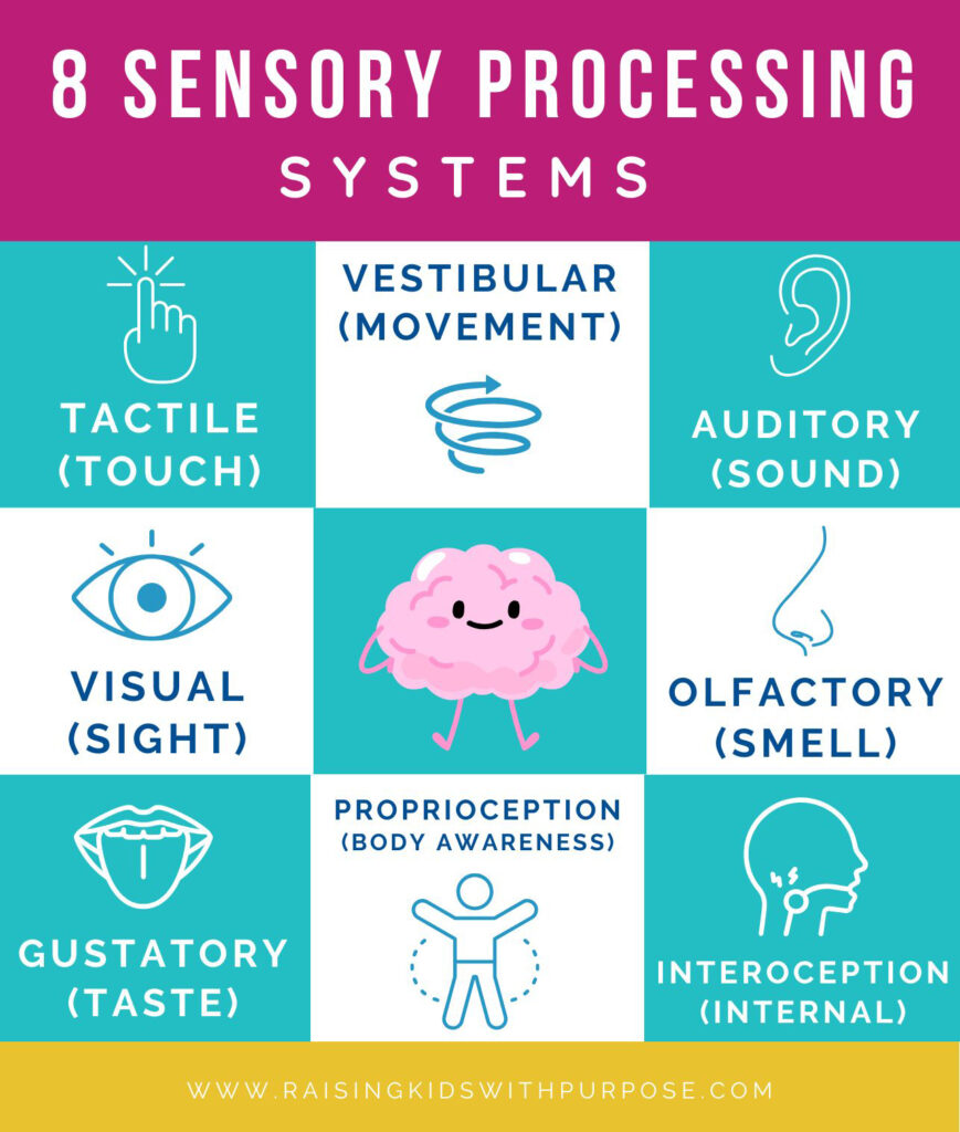 sensory processing systems