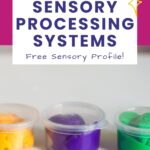 understanding sensory processing