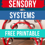 sensory systems pin