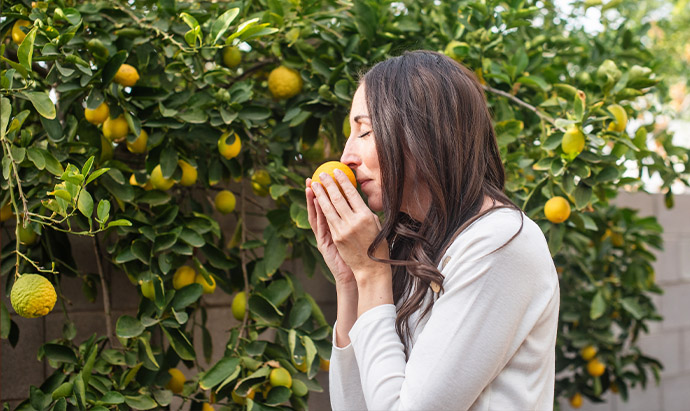 Woman sniffing an orange grapefruit