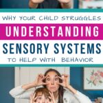 understanding sensory systems pin