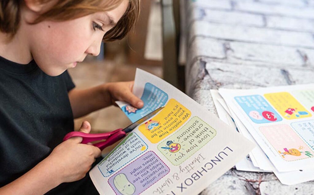boy cutting lunchbox cards